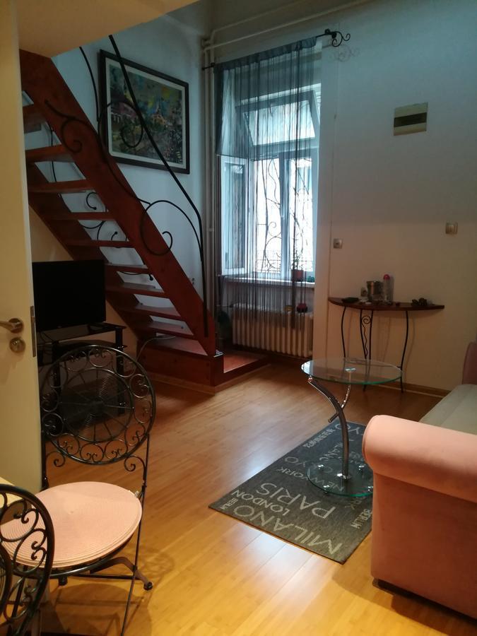 Apartman Galerija Νόβι Σαντ Εξωτερικό φωτογραφία